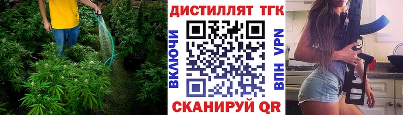 darknet Telegram Осинники Дистиллят ТГК THC oil наркотики