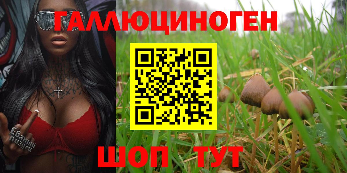Осинники  Псилоцибиновые грибы Magic Shrooms  Вход с VPN 