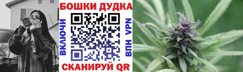 Конопля сатива  наркота  Осинники 